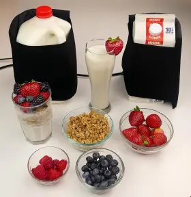 Probiotic Maker 800689594018 Protein Shake Kefir Yogurt Maker